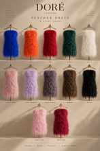 Load image into Gallery viewer, Feather Dress