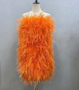 Feather Dress